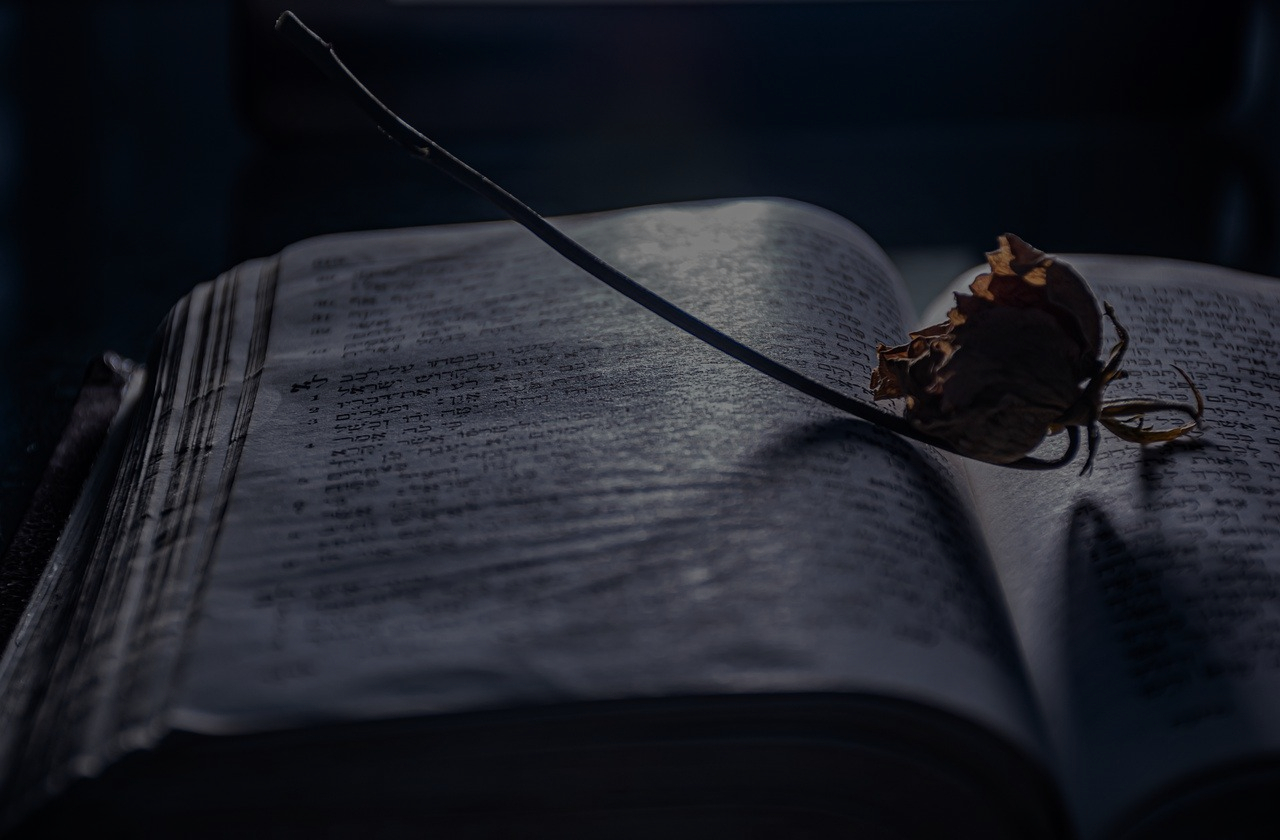 Author services